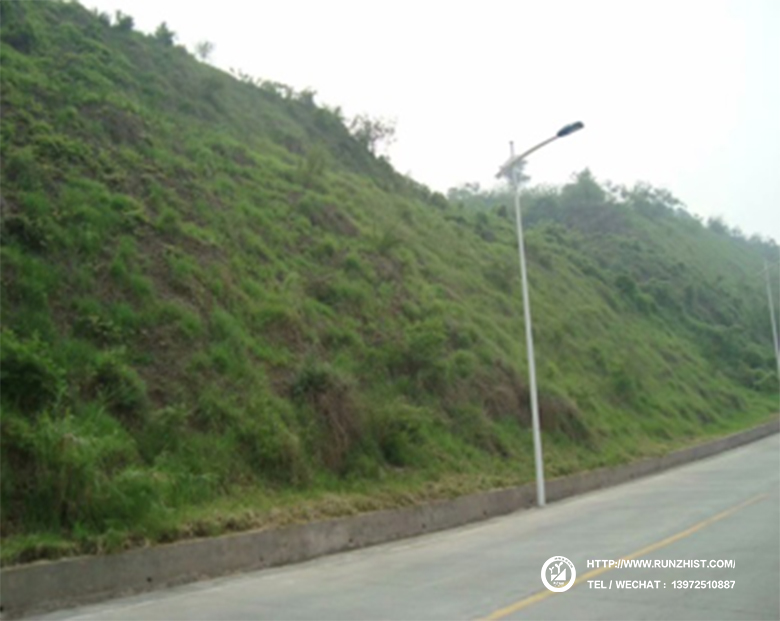 1602058842703073833.jpg 2011.jpg