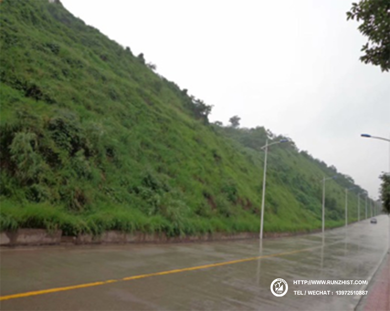 1602058863470051830.jpg 2012.jpg