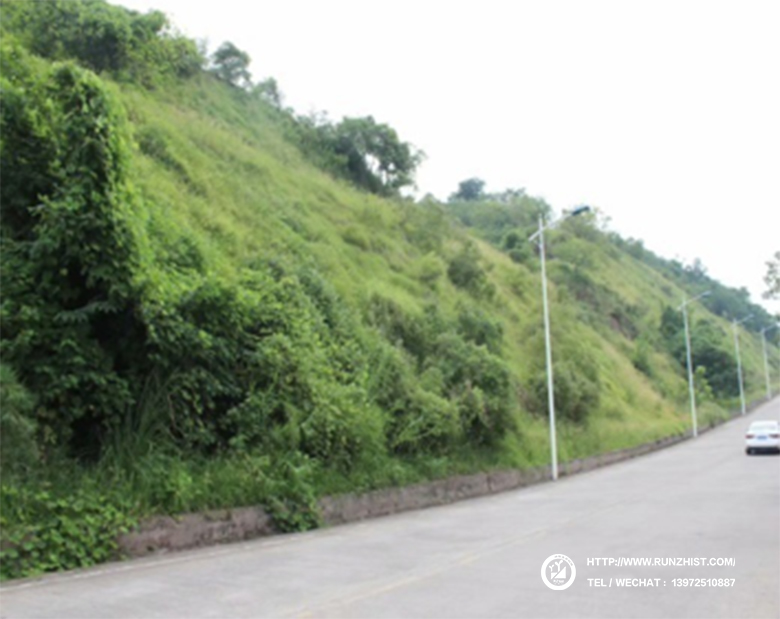 1602058907142067497.jpg 2017.jpg