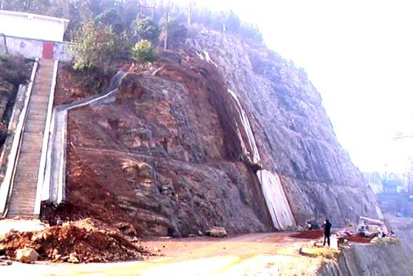 1740644275999011533.jpg 41c756d44c55721ab7bc05fbe5ca0bf3_.jpg