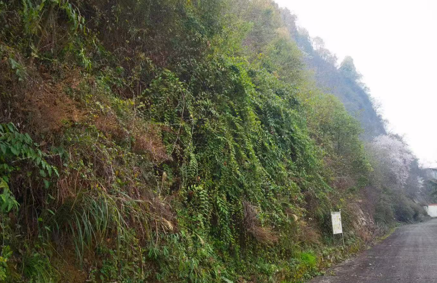 1740644343919047132.png image.png